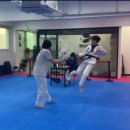 강남태권도장 이미지