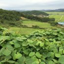 영림목장 이미지