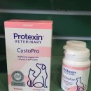 연두 동물병원 이미지