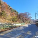 운학동농장 네이버블로그