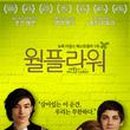 싱플라워 네이버블로그