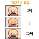 이쁜이세탁 | 2025년 한 해를 정리해보기 : 여행 가득했던 1년