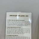 정몬테소리 이미지