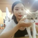 참조은펫 네이버블로그
