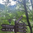 둔덕산 산행 46000원 이미지