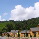 내린천펜션계곡사랑 이미지