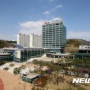 대한구조협회경북지부 뉴시스