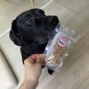 윈앤코 강아지 수제간식점 | 강아지 수제간식껌, 스트레스해소부터 영양까지 채운"윈앤코강아지수제간식점 단호박우유껌"