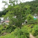 하늘물빛정원 이미지