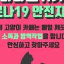 사바나 코쉬카 이미지