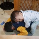 서대감족발보쌈 이미지