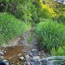 신풍카 | 파서탕을 찾아서...: 인제 비밀의정원, 신풍임도, 소치고개, 수산리임도&amp;계곡, 파로호육개장, 직연폭포...