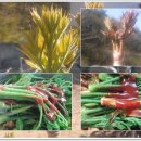 에그머니농장 이미지