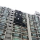 금강대신쉐르빌 이미지