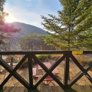 숲속호수마을 이미지