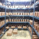 탑골농원 이미지