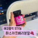 다이어트 건강에 좋은 에코홀릭 하스카프 베리 분말 후기