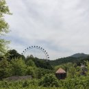 5월 에버랜드 놀이기구, 판다, 퍼레이드 시간