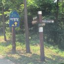 부산근교 카라반 캠핑 / 울산 입화산별뜨락 8인실 카라반 입성 후기 (취소 된 카라반 잡기)