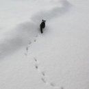르빵 - 종로구 자하문로 307 | 르빵