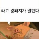 강원카센타 | 속초 순대국밥 맛집 영식이네순대국밥 솔직 후기 (현지인 추천)