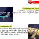 시퀀스무브먼트 네이버블로그