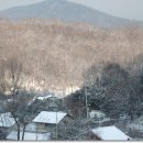 구룡산 정상 이미지