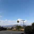 귀빈파크관광호텔 | 서귀포 가성비 호텔 파크선샤인 제주 추천 4인가족 조식 후기까지