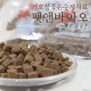 펫앤바이오 이미지