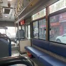 모텔하이퐁 | [베트남 하이퐁 여행 가이드 꿀팁7탄] 하이퐁에서 가장 유명한 도선해변,도손 비치후기 및 완벽 가이드