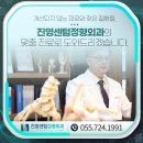 더센텀정형외과의원 이미지