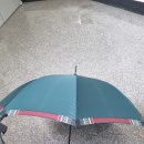 우산 자랑해도 되오? 이미지