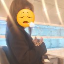 제이제이캣 이미지