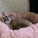 MJ캐터리 네이버블로그