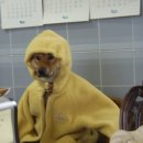 아성자동문 이미지