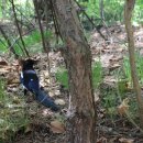 남산공원 시민공원관리사무소 이미지