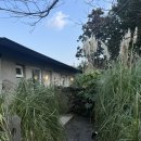 농부의믿는구석 | 🪑제주도 농부의 믿는 구석 큰동 (감성숙소 후기)🧺