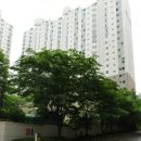 금천공인중개사사무소 이미지