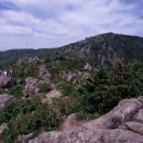덕산면019 Daum카페