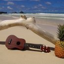 우쿨렐레 이미지