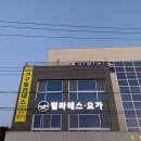마이뜨리