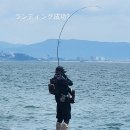 닉스올라운드 - 창원시 성산구 원이대로 608 | 【제26장】 인쇼어로드와 농어로드의 특징과 차이점