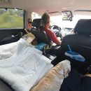 천일시장 이미지