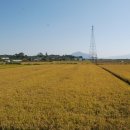 교동면 남산포 이미지