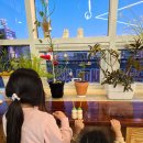 아산초 | 천안아산초밥맛집 여기가 1등 '초밥의초강수 모종점' 아산배방초밥맛집 방문 후기