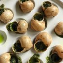 동해안자전거도로21(서) | 서유럽 자유 여행 11｜파리 개선문 전망대, 오르세 미술관 투어, 쁘레땅 백화점 전망대