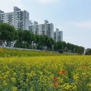 구민체육광장 화장실 이미지