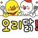 오리&닭