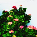 광주희망병원 이미지