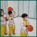 더 킥 태권도장 | 복현동 대현동 태권도, 잘하는 곳 찾는 1가지 방법